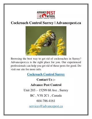 Cockroach Control Surrey  Advancepest.ca