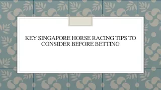 Key Singapore Horse Racing Tips to Consider Before Betting