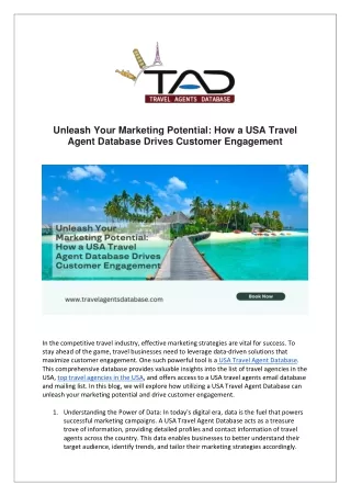 How a USA Travel Agent Database Drives Customer Engagement