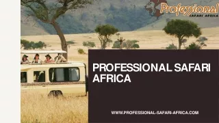 Luxury Africa Safari Tours