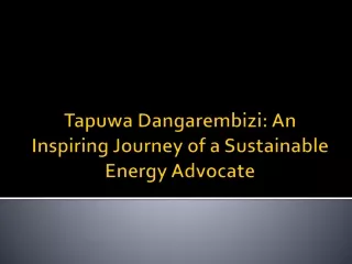 Tapuwa Dangarembizi An Inspiring Journey of a Sustainable Energy Advocate