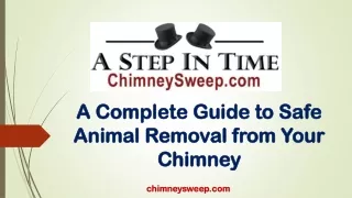 A Complete Guide to Safe Animal Removal from Your Chimney