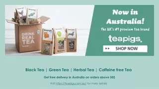 Black Tea Bags - Buy Black Tea Online in Australia