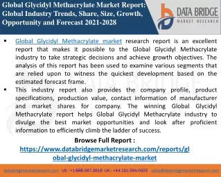 Glycidyl Methacrylate - Chemical Material