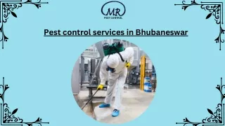 Pest control services in Bhubaneswar (3)