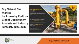 Dry Natural Gas market ppt