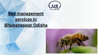 Bee management services in Bhubaneswar Odisha (3)