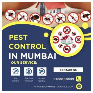 Bye-Bye Pests! Book Pest Control in Mumbai  bookmypestcontrol.com