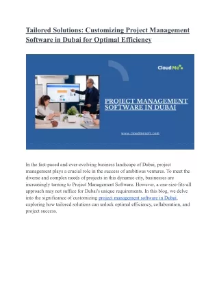 Tailored Solutions_ Customizing Project Management Software in Dubai for Optimal Efficiency