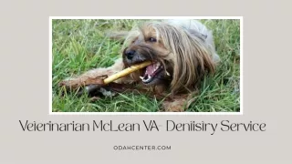 Veterinarian McLean VA- Dentistry Service