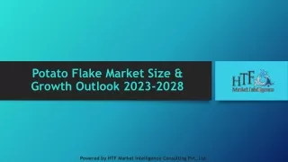 Potato Flake Market Size & Growth Outlook 2023-2028