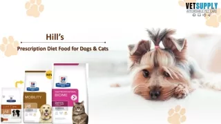 Hill's Prescription Diet Food for Dogs and Cats | Pet Dental Month