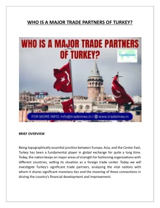 WHO IS A MAJOR TRADE PARTNERS OF TURKEY ?