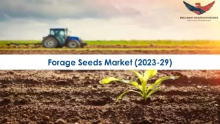 Forage Seeds Market | Global Analysis Report 2023-2029