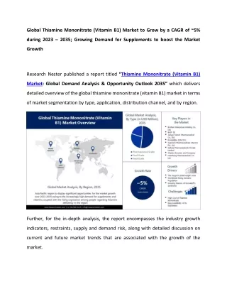 Thiamine Mononitrate Market Statistics By Top Companies 2023 to 2035