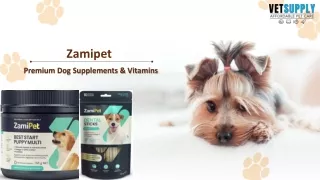 Zamipet Dog Supplements and Vitamins | Pet Dental Month
