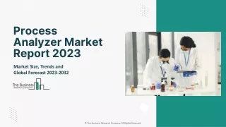 Process Analyzer Market