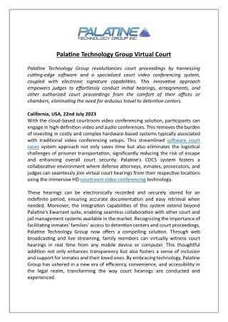 Palatine Technology Group Virtual Court