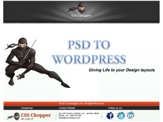 PSD to Wordpress Conversion By CSS Chopper in India