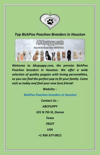 Top BichPoo Poochon Breeders in Houston