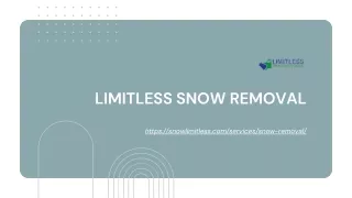 Professional Snow Removal Services For Business