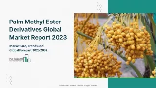 Palm Methyl Ester Derivatives Market Size, Trends and Global Forecast To 2032