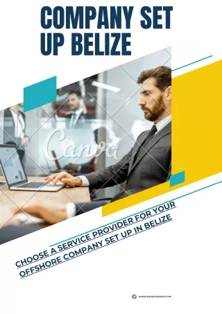 Choose a Service Provider for Your Offshore Company Set Up in Belize