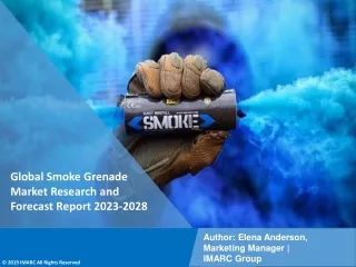 Smoke Grenade Market Research and Forecast Report 2023-2028