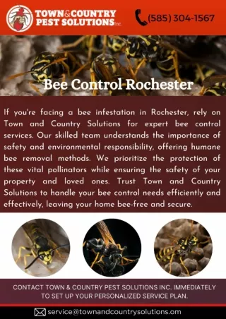 Bee exterminator rochester ny