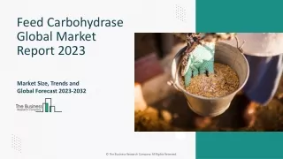 Feed Carbohydrase Market Size, Share, Outlook, Opportunities And Strategies