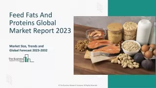 Feed Fats And Proteins Market Segments, Trends, Size, Forecast 2023-2032