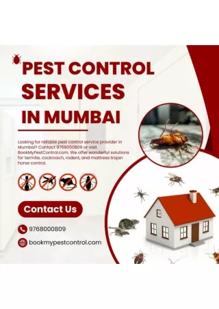 Pest Control Services in Mumbai