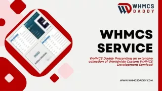 Superior WHMCS Support Services by WHMCS Daddy