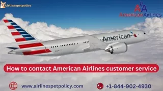 How to contact American Airlines customer service
