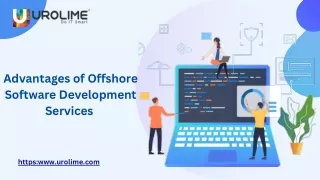 OFFSHORE SOFTWARE DEVELOPMENT SERVICES-