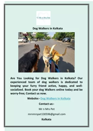 Dog Walking Services in Kolkata