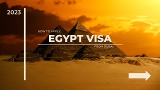 From Dubai to Egypt: Mastering the Visa Application Process