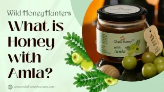 Wild honey with Amla from Ghats honey