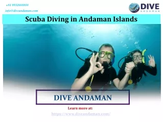 Top Scuba Diving in Andaman Islands