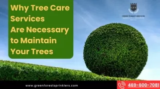 Why Tree Care Services Are Necessary to Maintain Your Trees