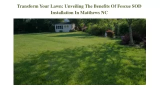 Transform Your Lawn Unveiling The Benefits Of Fescue SOD Installation In Matthews NC