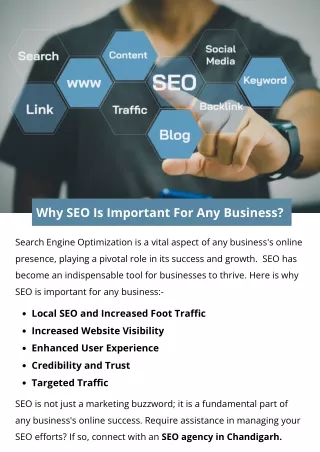 Why SEO Is Important For Any Business?