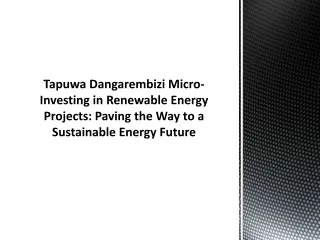 Tapuwa Dangarembizi Micro-Investing in Renewable Energy Projects Paving the Way to a Sustainable Energy Future