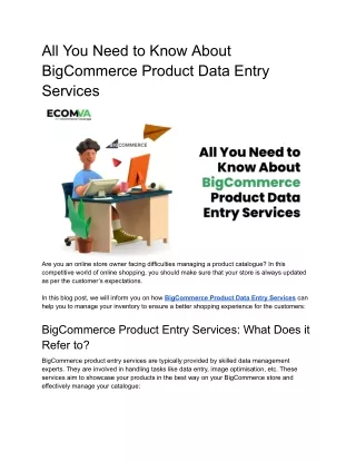 All You Need to Know About BigCommerce Product Data Entry Services