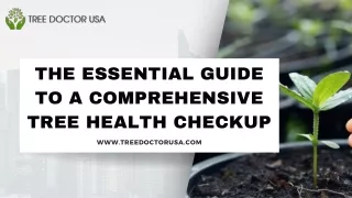 The Essential Guide to a Comprehensive Tree Health Checkup