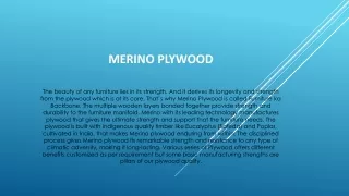 Merino Plywood