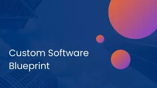 Custom Software Blueprint