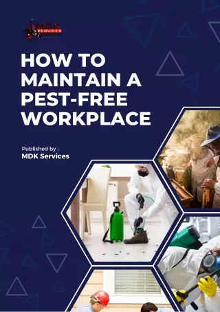 How to Maintain a Pest-Free Workplace?