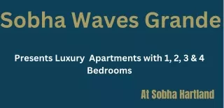 Waves Grande E-Brochure