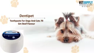 Dentipet Toothpaste For Dogs And Cats 70 Gm Beef Flavour | Pet Dental Month